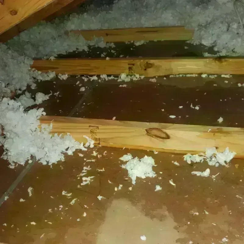 Attic Water Damage in San Antonio, TX