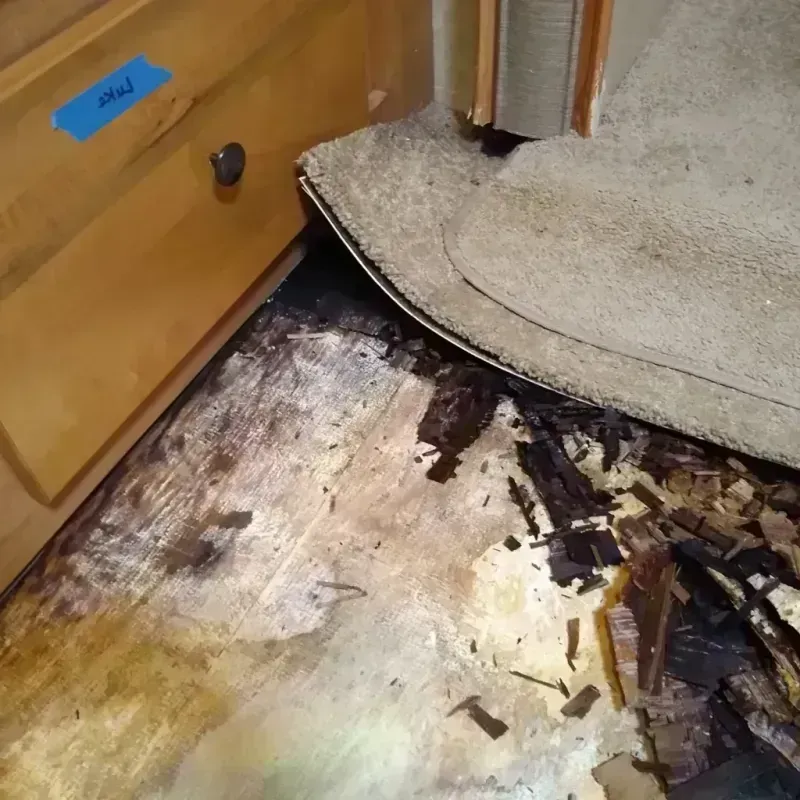 Wood Floor Water Damage in San Antonio, TX